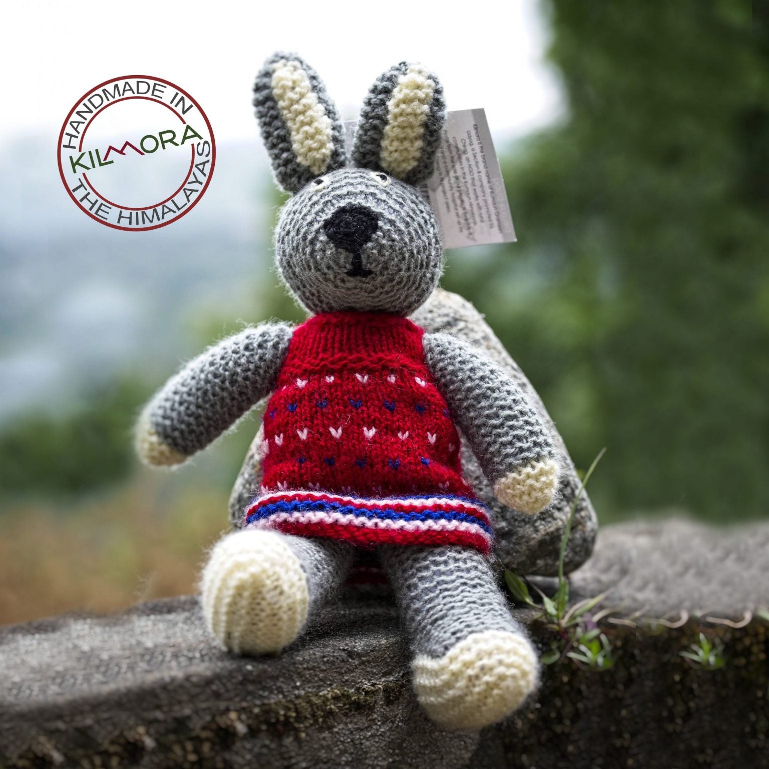Bunny in a Frock