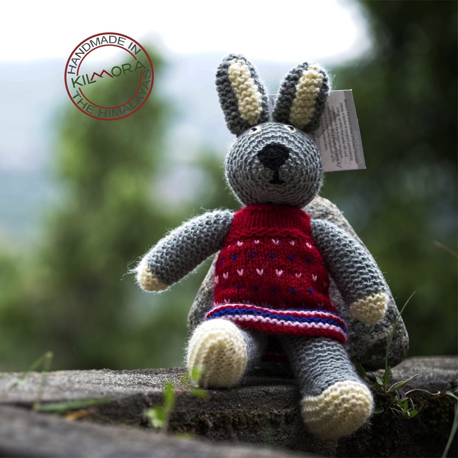 Bunny in a Frock