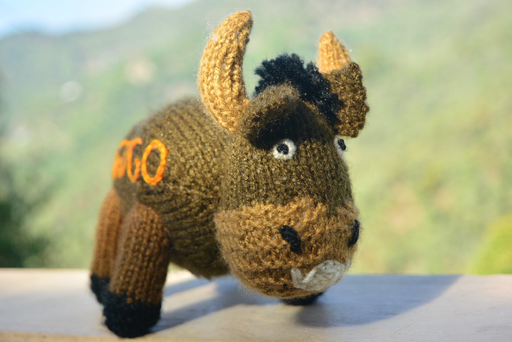 Gogo - the Bison