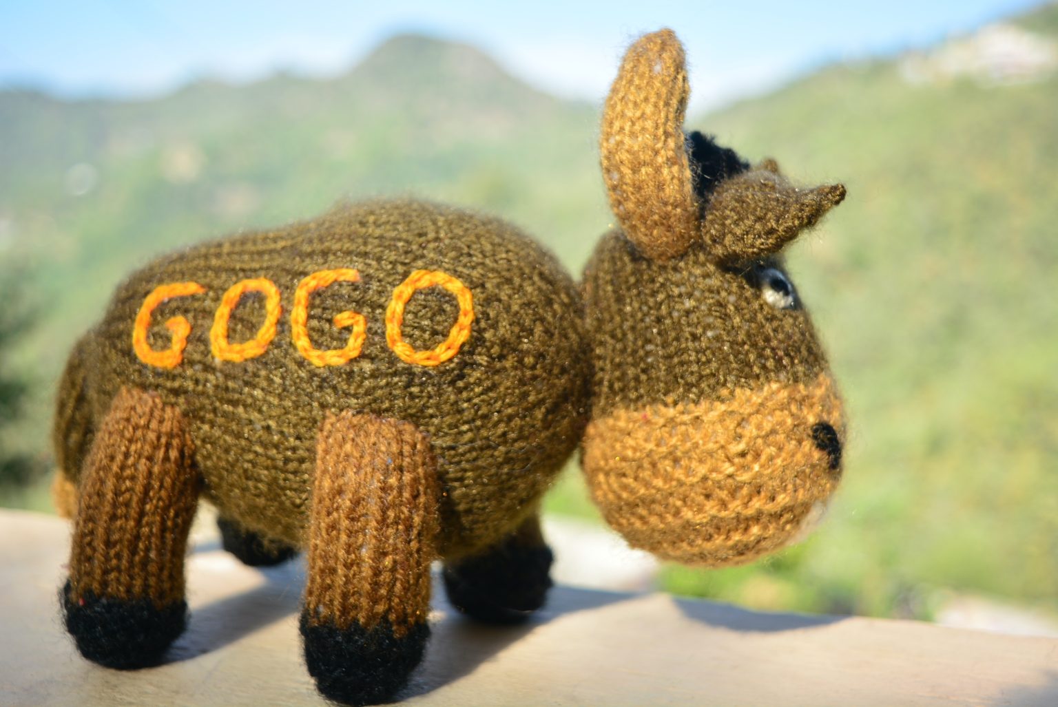 Gogo - the Bison
